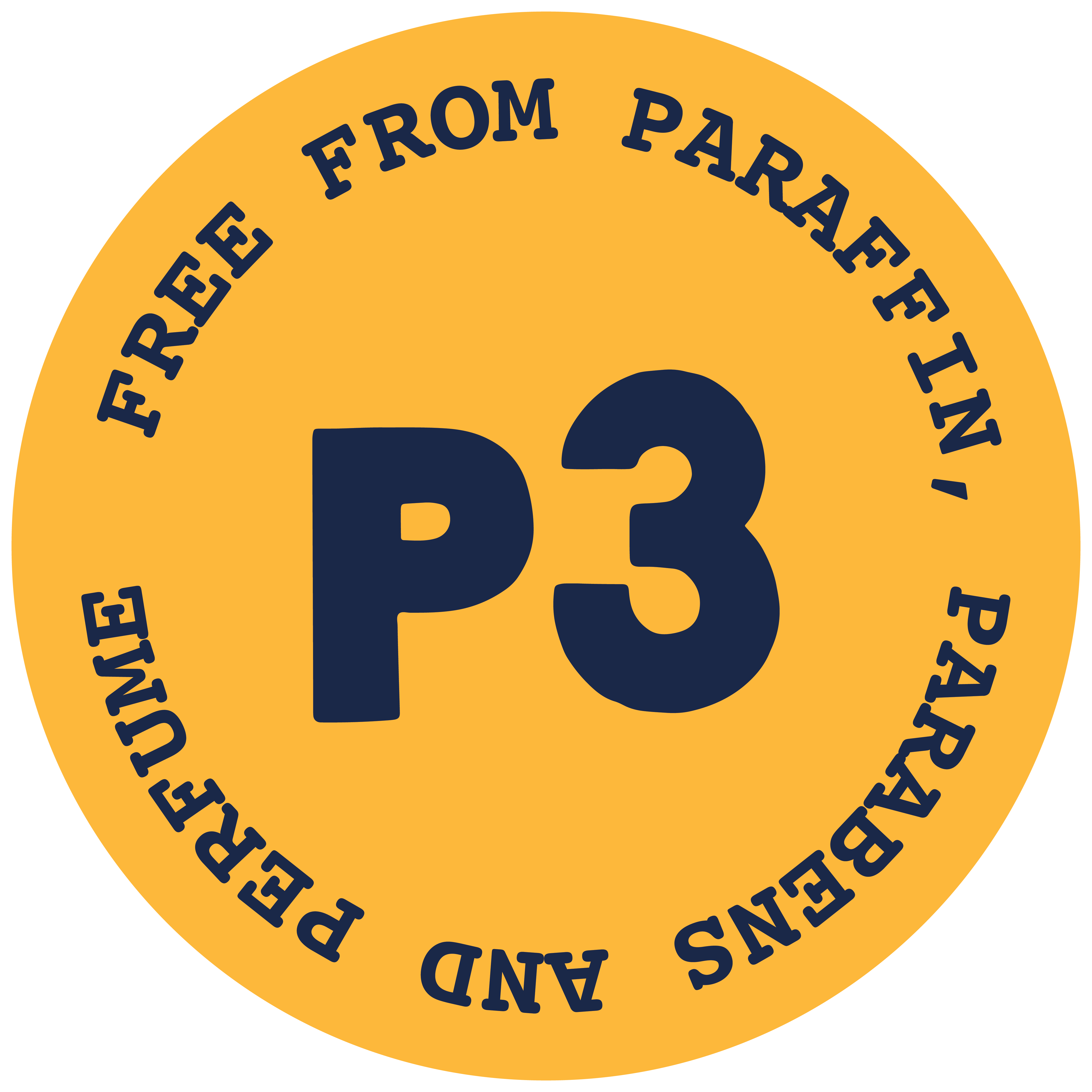 P3 Technology